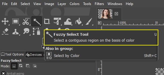 Fuzzy Selection Tool and Free Selection Tool