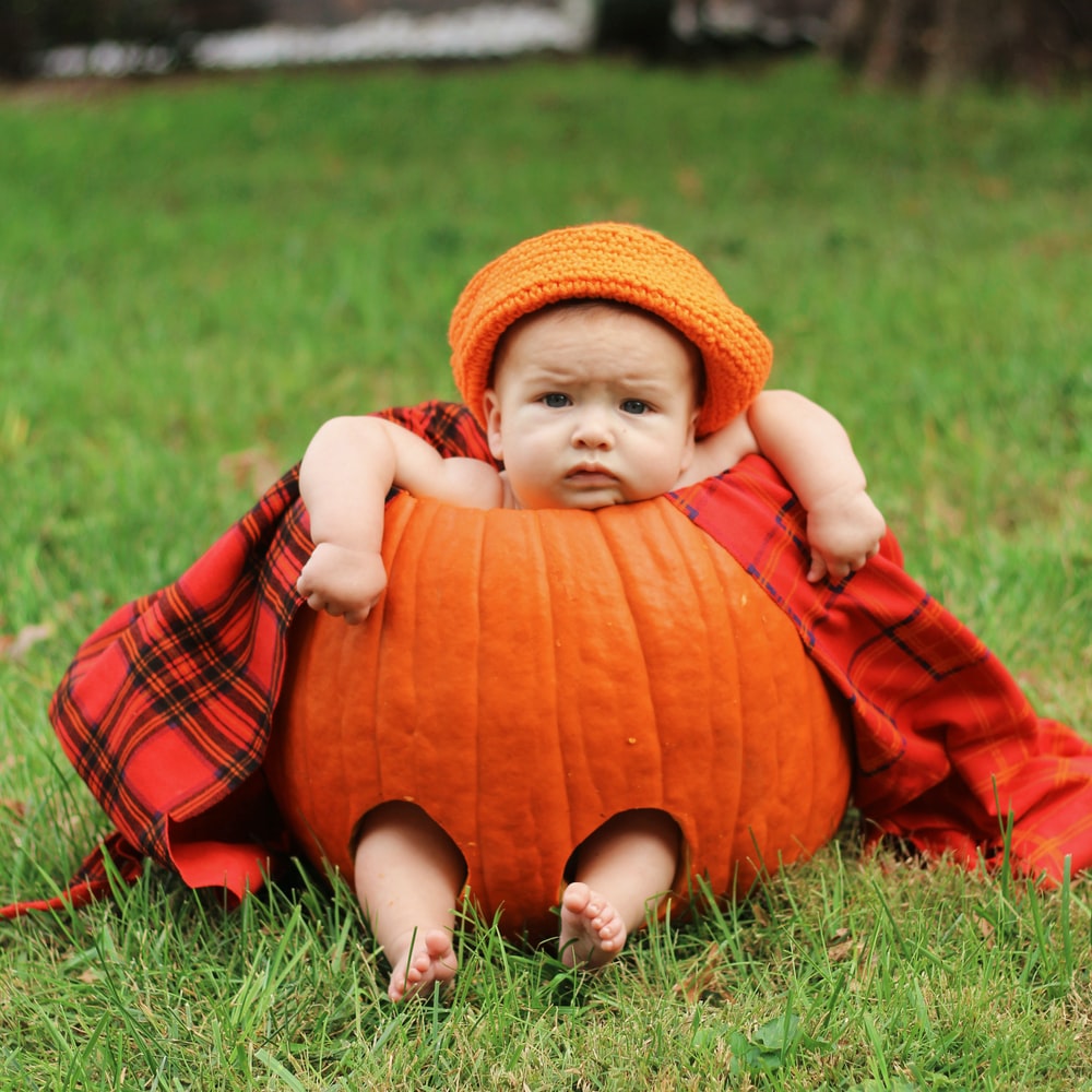 Guide for fall picture ideas 