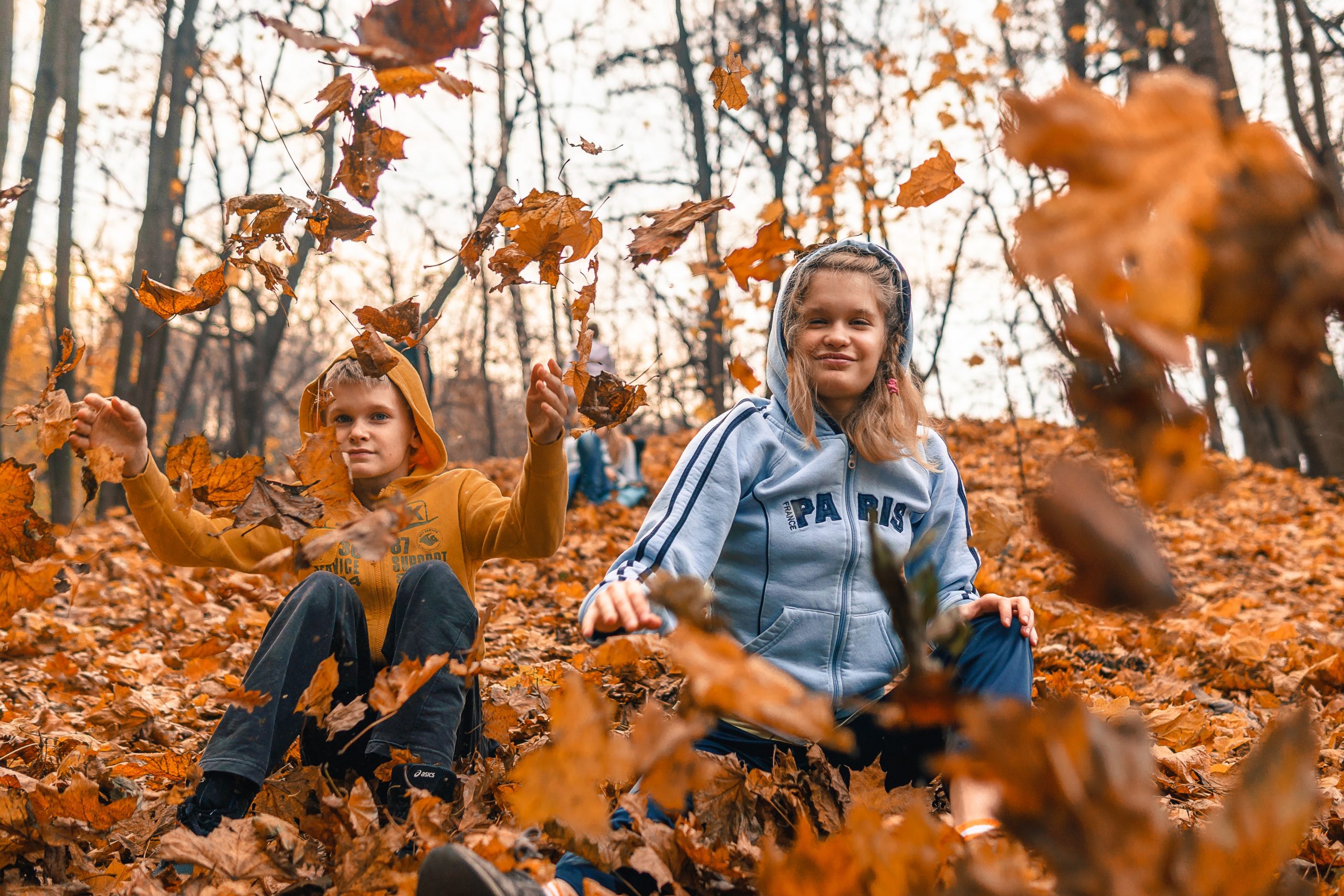 Fall autumn pictures by Slazzer
