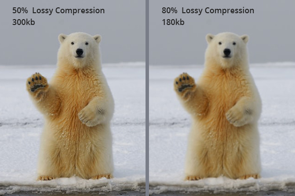 Lossy Image