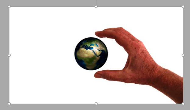The Image with background