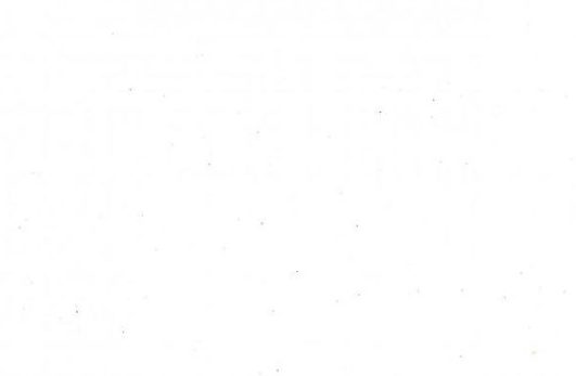 white background